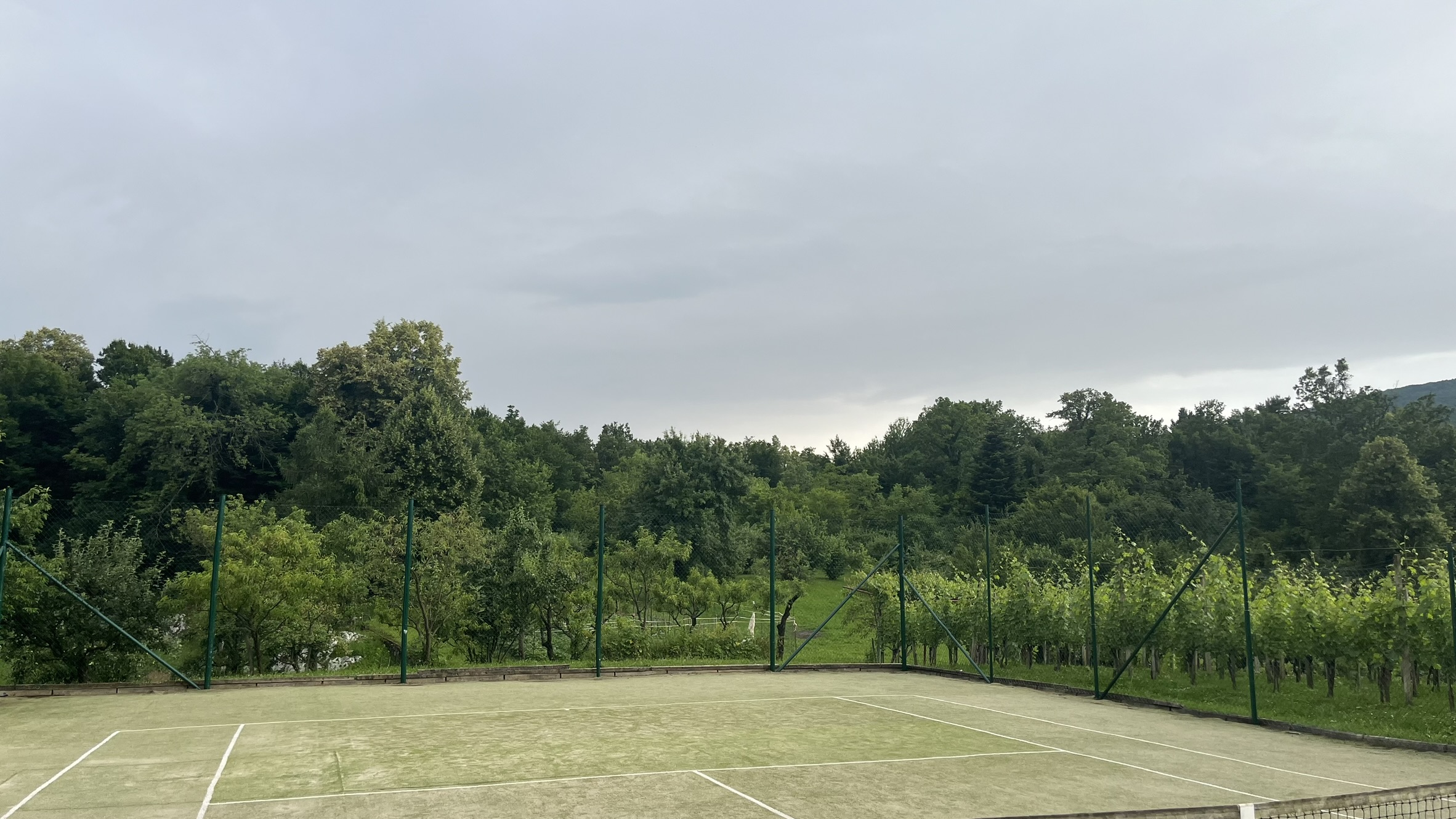 Teniško igrišče s pogledom na gozd in vinograde