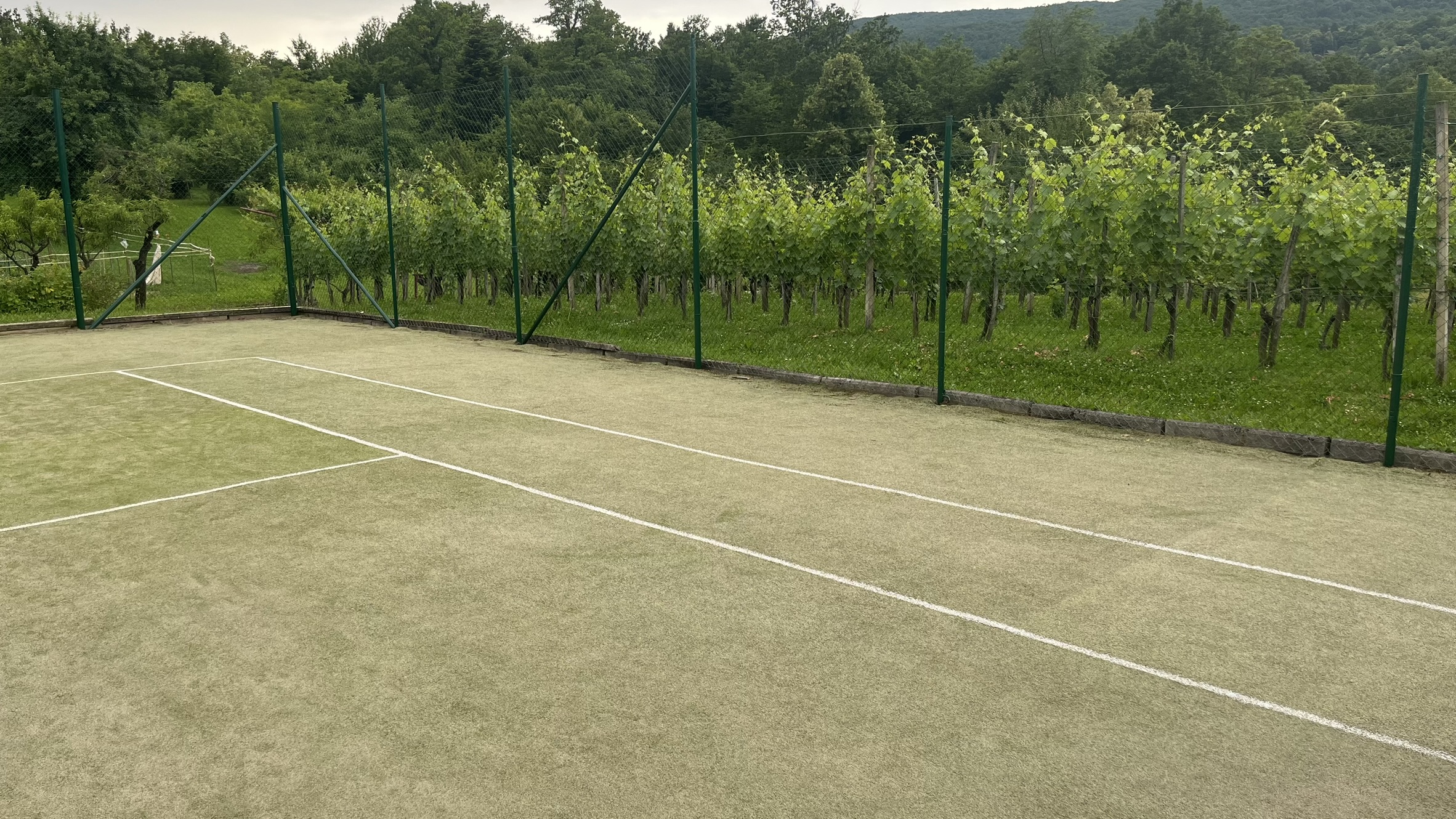 Teniško igrišče ob vinogradih Pri Murnu