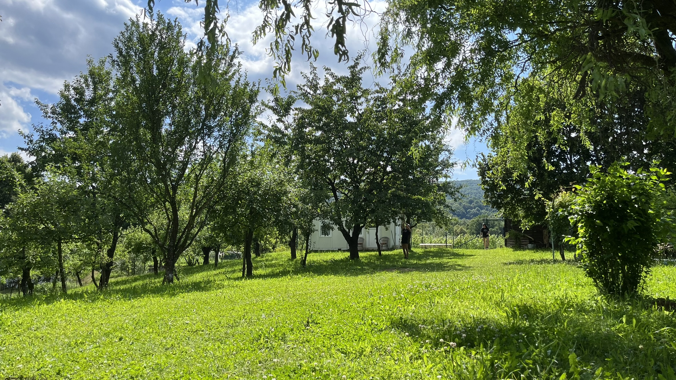 Sadovnjak Pri Murnu poleti, Bela Krajina