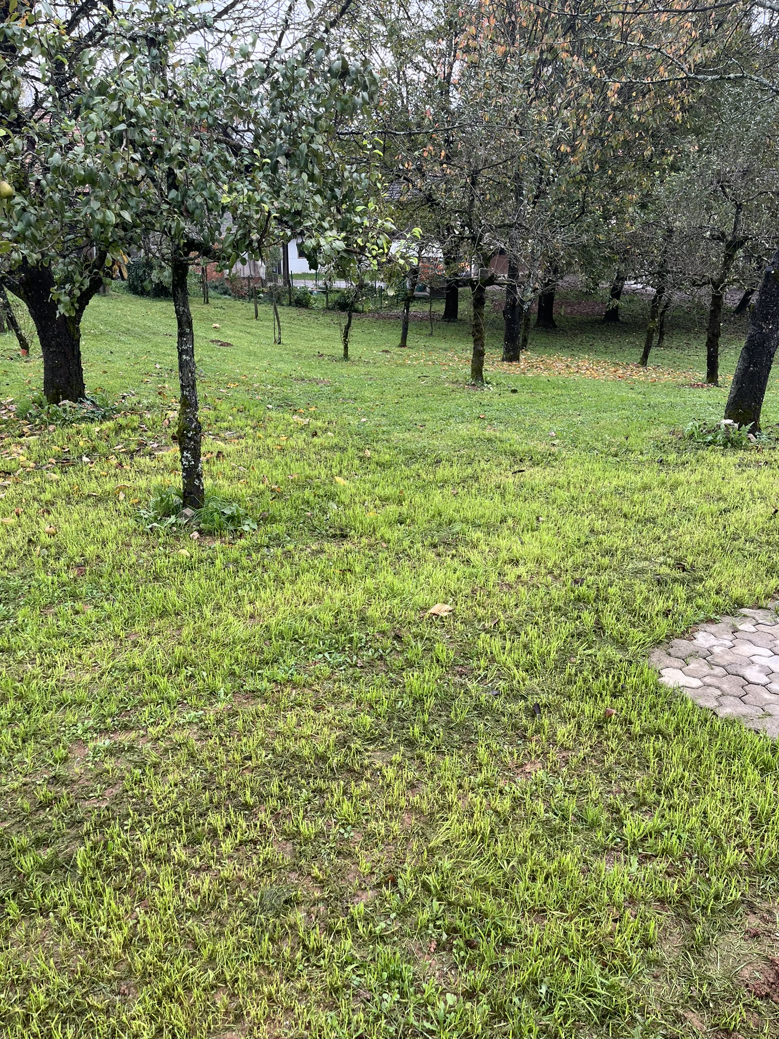 Sadovnjak Pri Murnu jesen